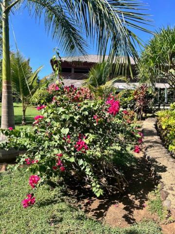 Villa Milena Nosy-Be 外观 照片